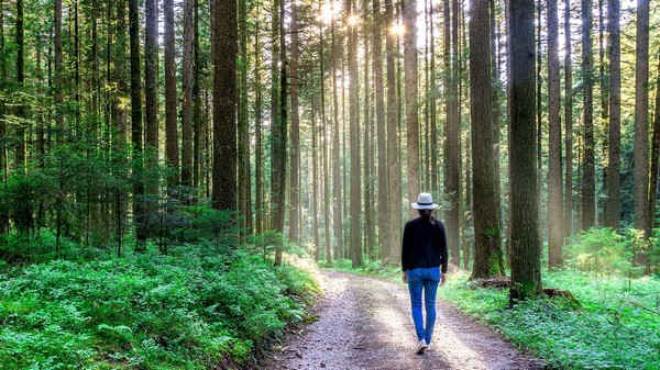 Walking on a forest trail.